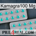 Kamagra100 Mg 29